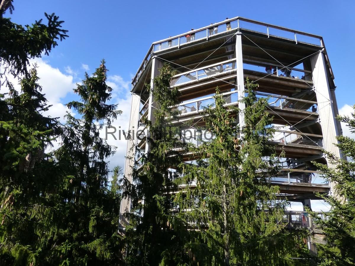 Riviera Lipno 415 Apartment Lipno nad Vltavou Bagian luar foto